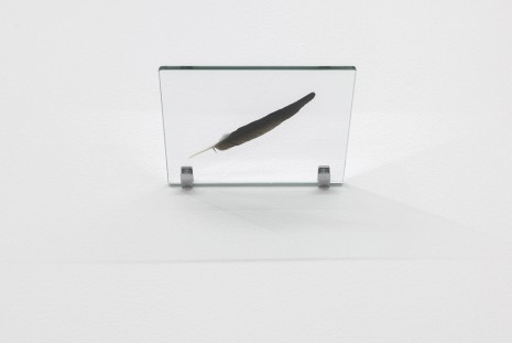Hreinn Friðfinnsson, Exchange between a wing and a hand, 2015, Galerie Nordenhake