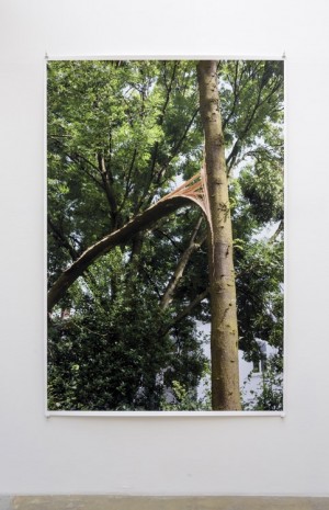 Wolfgang Tillmans, lignin duress (b), 2014, Galerie Chantal Crousel
