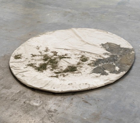Philipp Modersohn, Plankton III, 2015, Galerie Guido W. Baudach