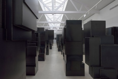 Antony Gormley, Expansion Field, 2014, Galerie Thaddaeus Ropac