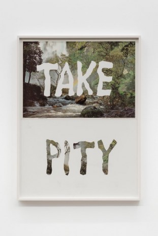 Mitchell Syrop, Take Pity, 1998, Croy Nielsen