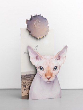 Katja Novitskova, Mars Potential (cat), 2014, Galerie Max Hetzler