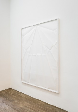 Gonzalo Lebrija, Starker, 2015, Galerie Laurent Godin