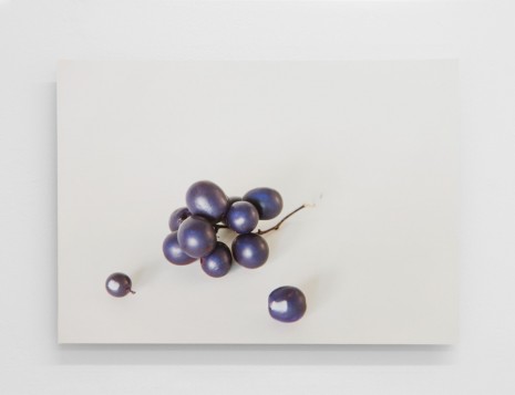 G. Küng, Grapes, 2015, Antoine Levi