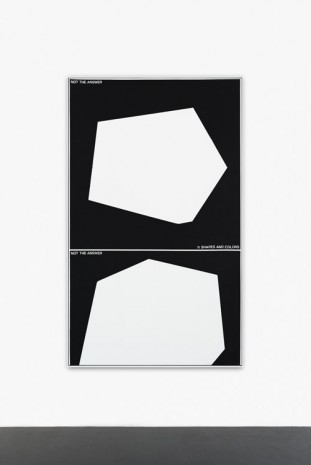 Guillaume Gelot, NOT SHAPES AND COLORS, 2014, Peres Projects