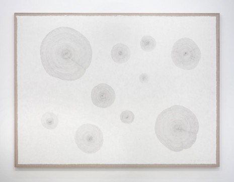 Giuseppe Penone, Dieci propagazioni -­‐ agosto 2011 (Ten Propagations -­‐ August 2011), 2011, Marian Goodman Gallery