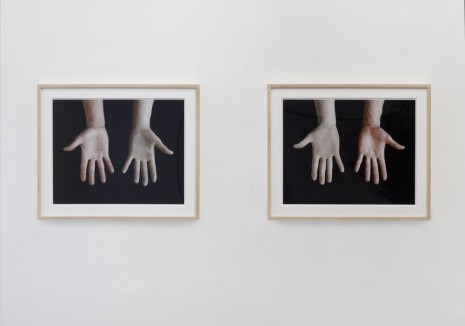 Giuseppe Penone, Guanti (Gloves), 1972, Marian Goodman Gallery