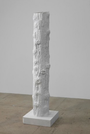 Giuseppe Penone, Indistinti confini -­ Batinus (Indistinct Boundaries -­ Batinus), 2012, Marian Goodman Gallery