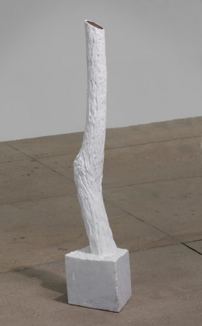 Giuseppe Penone, Indistinti confini -­ Ariminus (Indistinct Boundaries -­ Ariminus), 2012, Marian Goodman Gallery