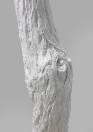 Giuseppe Penone, Indistinti confini -­ Ariminus (Indistinct Boundaries -­ Ariminus), 2012 (detail), Marian Goodman Gallery