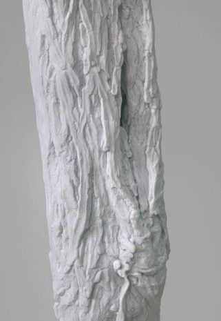 Giuseppe Penone, Indistinti confini -­ Arda (Indistinct Boundaries ‐ Arda), 2012 (detail), Marian Goodman Gallery