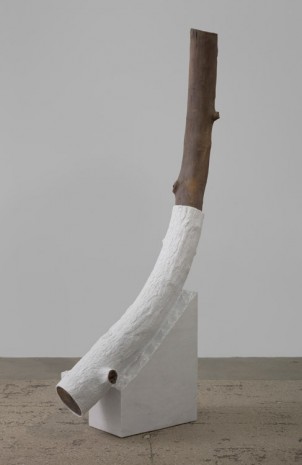 Giuseppe Penone, Indistinti confini ‐ Rubico (Indistinct Boundaries ­‐ Rubico), 2012, Marian Goodman Gallery