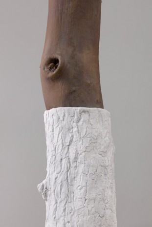 Giuseppe Penone, Indistinti confini ‐ Rubico (Indistinct Boundaries ­‐ Rubico), 2012 (detail), Marian Goodman Gallery