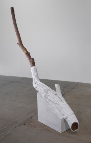 Giuseppe Penone, Indistinti confini -­ Sapina (Indistinct Boundaries -­ Sapina), 2012, Marian Goodman Gallery