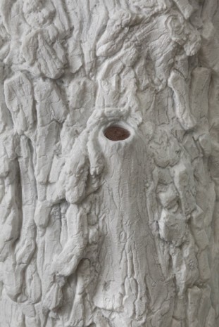 Giuseppe Penone, Indistinti confini -‐ Sicla (Indistinct Boundaries ­‐ Sicla), 2012 (detail), Marian Goodman Gallery