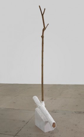 Giuseppe Penone, Indistinti confini ­‐ Silarus (Indistinct Boundaries ­‐ Silarus), 2012, Marian Goodman Gallery