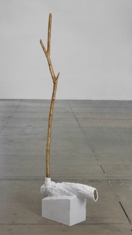 Giuseppe Penone, Indistinti confini ­‐ Trebia (Indistinct Boundaries ‐ Trebia), 2012, Marian Goodman Gallery