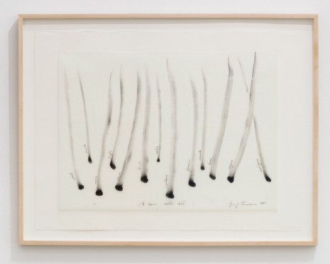 Giuseppe Penone, Il bosco delle dita (The Wood of the Finger), 1980, Marian Goodman Gallery