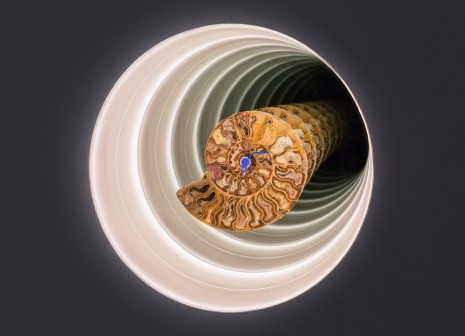 Cyprien Gaillard, Ammonite Dub, 2015, Sprüth Magers