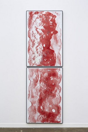 Nicolas Deshayes, Vein Section (or a cave painting), 2015, Jonathan Viner (closed)