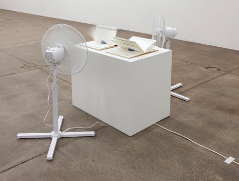 Jamie Isenstein, Eye Books, 2014, Andrew Kreps Gallery