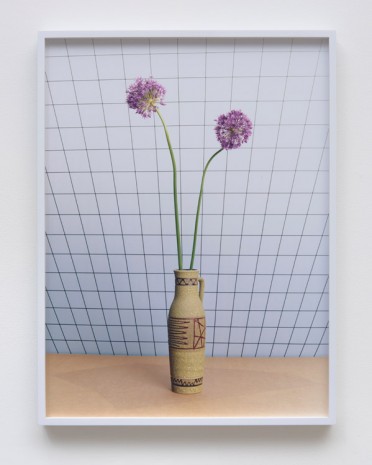 Annette Kelm, Stilleben mit Zierlauch (Still life with Allium), 2014, Marc Foxx (closed)