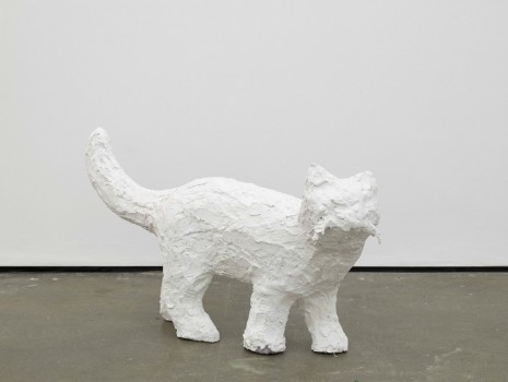 Klaus Weber, Cat (phantombox), 2014, Herald St