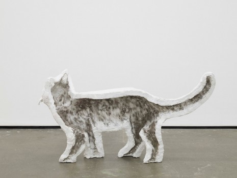 Klaus Weber, Cat (phantombox), 2014, Herald St