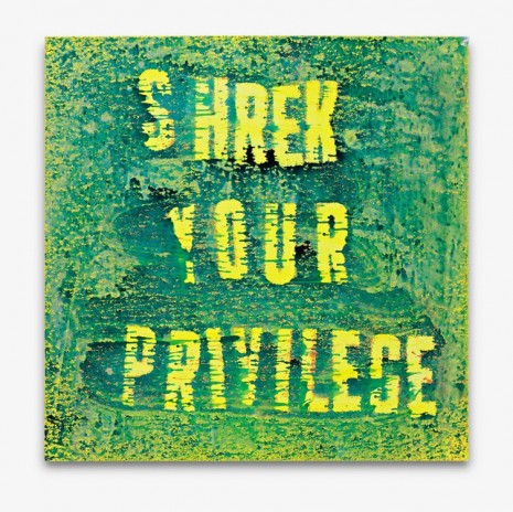 Mark Flood, Shrek Your Privilege, 2015, Peres Projects