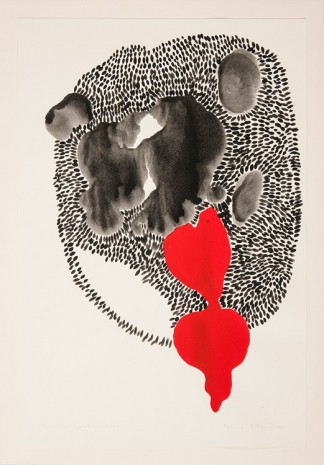 Anna Maria Maiolino, Untitled, from Filogenéticos [Phylogenetic] series, 2014, Galleria Raffaella Cortese