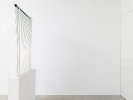 Sirous Namazi, Blind, 2014, Galerie Nordenhake