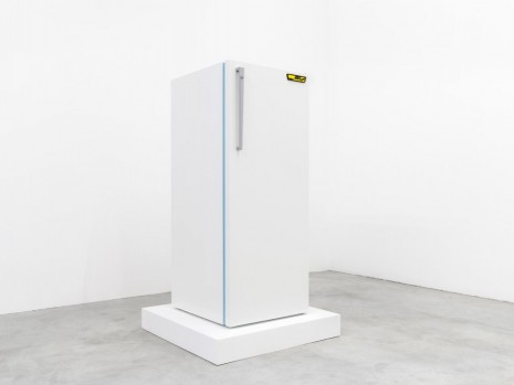 Sirous Namazi, Refrigerator, 2015, Galerie Nordenhake