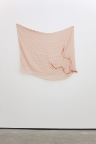 Sue Tompkins, Odyssey Pale, 2011, The Modern Institute