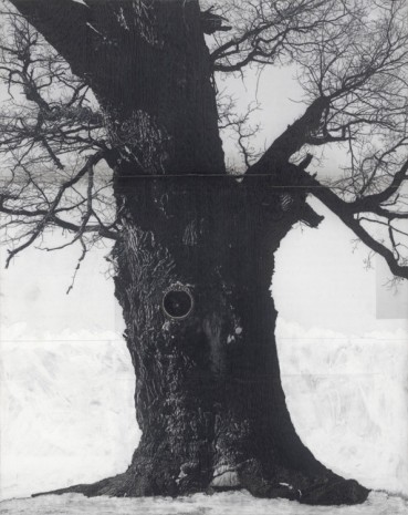 Patrick Van Caeckenbergh, Drawing of Old Trees during wintry days 2007-2014, 2007-2014, Lehmann Maupin