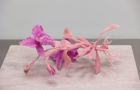 Keith Edmier, Two Hummingbirds with a Pink Orchid, c.1875-90 (Lc. Michelle Obama Ctrianaei x Lc Mini Purple), 2015, Petzel Gallery
