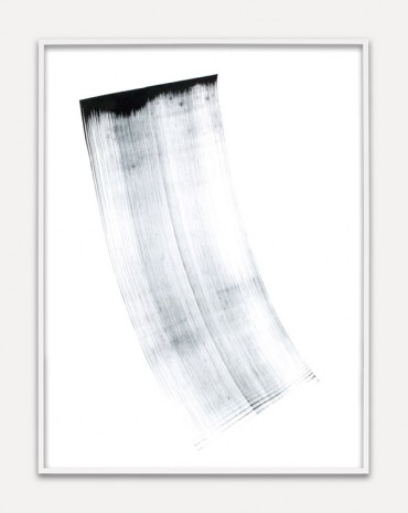 Phil Chang, Replacement Ink for Epson Printers (Black 446007) on Epson Premium Glossy, 2014, Praz-Delavallade
