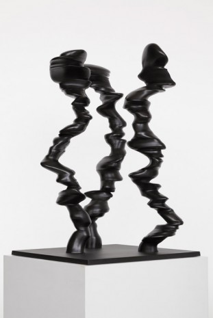 Tony Cragg, Points of View, 2014, Lisson Gallery