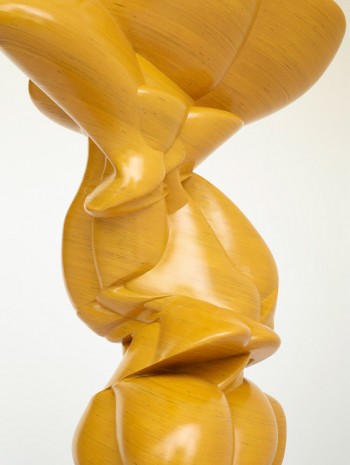 Tony Cragg, Split Figure (detail), 2014, Lisson Gallery