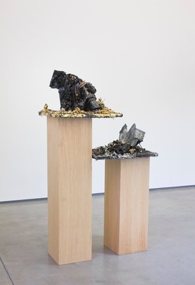 Cristina Lei Rodriguez , Black Landscape, 2011, team (gallery, inc.)
