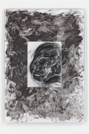 Will Benedict, Untitled (Gorilla), 2015, Bortolami Gallery