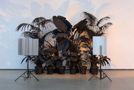 Andrew Dadson, Painted Plants, 2015, David Kordansky Gallery