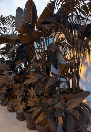 Andrew Dadson, Painted Plants (detail), 2015, David Kordansky Gallery