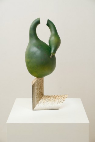 Frank Benson, Swan Gourd, 2005, Tanya Bonakdar Gallery