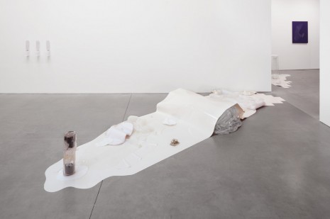 Hayden Dunham, GEL, 2015, Andrea Rosen Gallery
