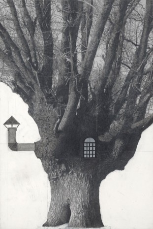 Patrick van Caeckenbergh, Drawing of old trees on wintry days during 2007-2014, 2007-2014, Zeno X Gallery