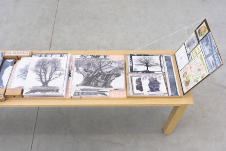 Patrick van Caeckenbergh, Inventory of the 'Drawings of Old Trees (detail), 2014-2015, Zeno X Gallery