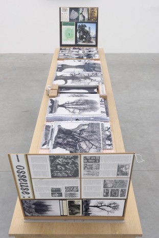 Patrick van Caeckenbergh, Inventory of the 'Drawings of Old Trees, 2014-2015, Zeno X Gallery
