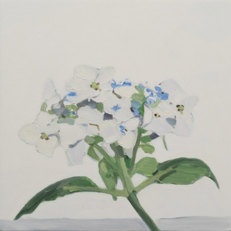 Maureen Gallace, White Flower July, 2015, 303 Gallery