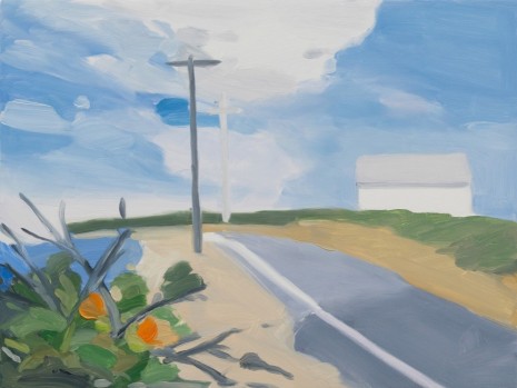 Maureen Gallace, Surf Road, 2015, 303 Gallery