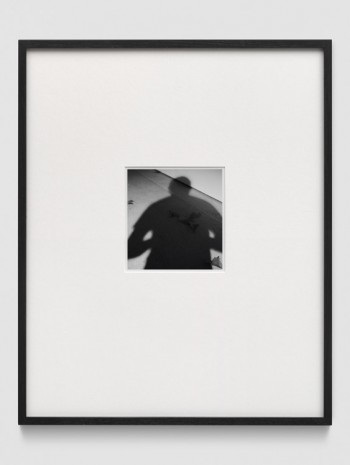 Martin Boyce, Self Portrait with Leaves (after Vivian Maier), 2015, Galerie Eva Presenhuber